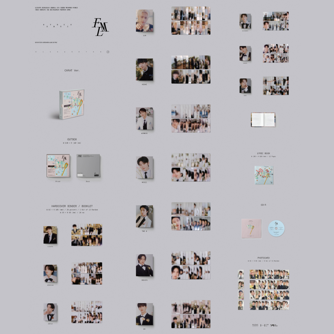 SEVENTEEN - 10th Mini Album - FML - Carat version