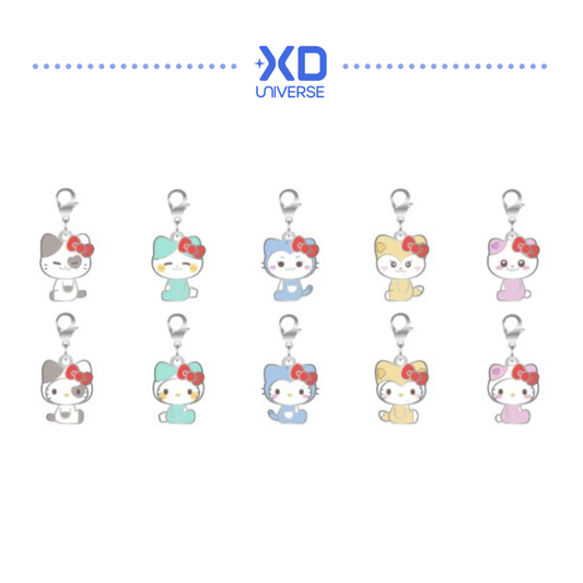 [PREORDER DEADLINE 28/8] <TWINZY X HELLO KITTY> OFFICIAL MERCH - Key Holder Charm