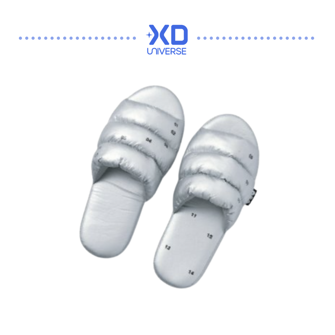 [PREORDER] BTS 'ARIRANG' Merch - Room Slide