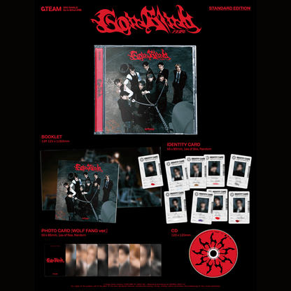 &TEAM - 3rd SINGLE 'Go in Blind' STANDARD EDITION