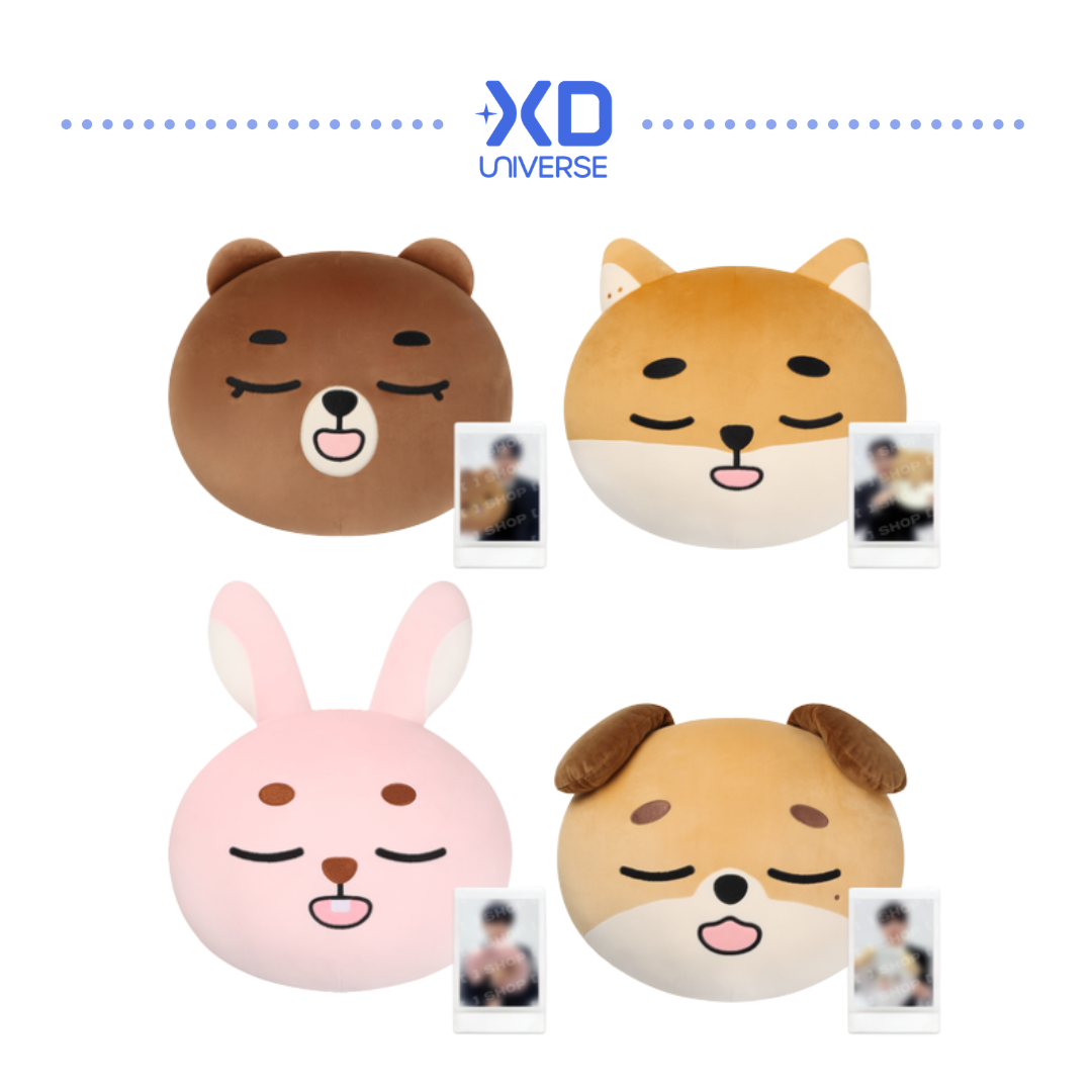 [PREORDER DEADLINE 13/7] DAY6 10th Anniversary Tour <The DECADE> FINALE in SEOUL OFFICIAL MERCH - DENIMALZ FACE CUSHION