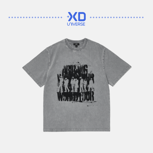 [PREORDER] BTS WORLD TOUR ‘ARIRANG’ 2nd Drop Official Merch - S/S Photo T-Shirt (Gray)