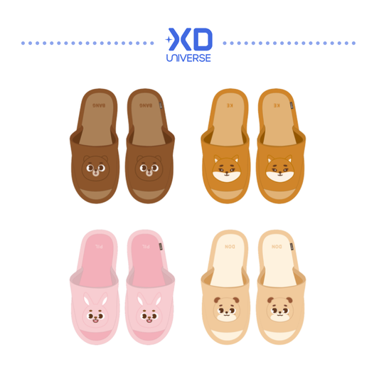 [PREORDER DEADLINE 13/7] DAY6 10th Anniversary Tour <The DECADE> FINALE in SEOUL OFFICIAL MERCH - DENIMALZ ROOM SHOES
