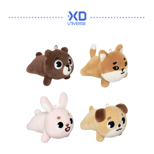 DAY6 – XD UNIVERSE