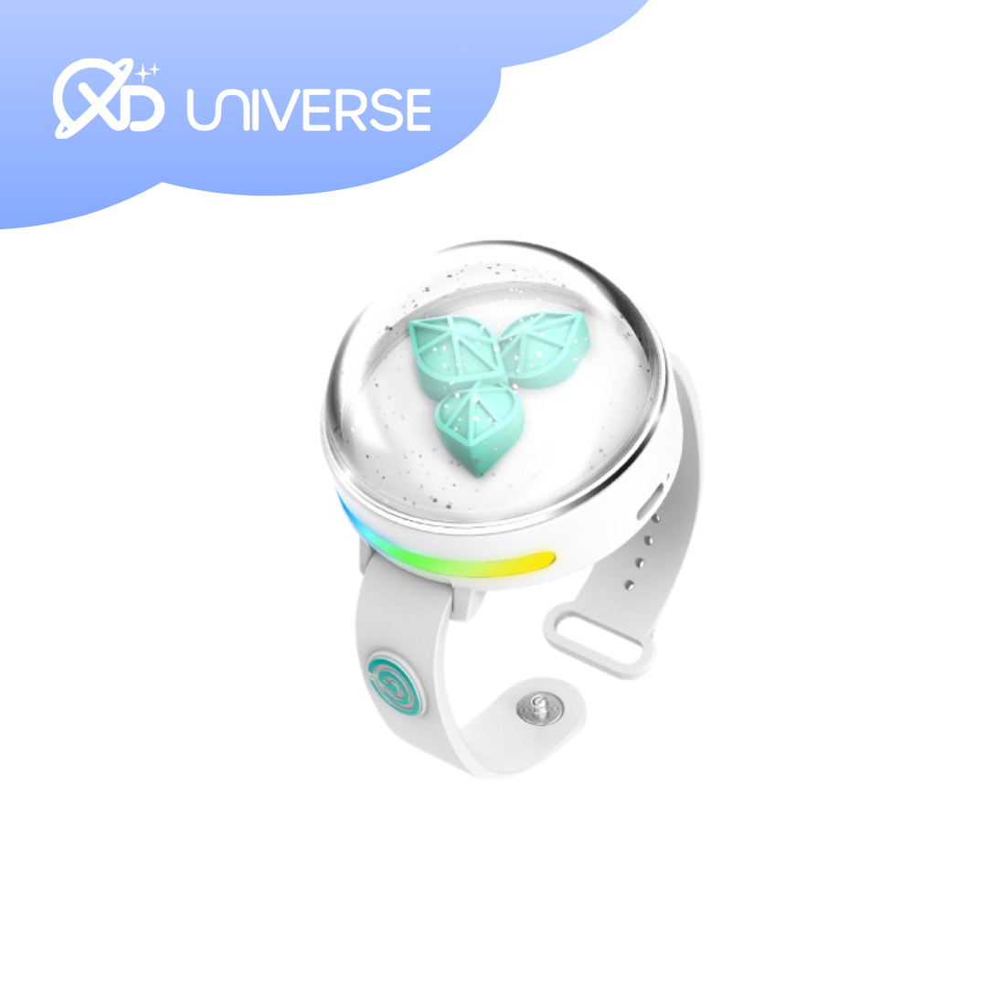 DAY6 Official Light Stick Band