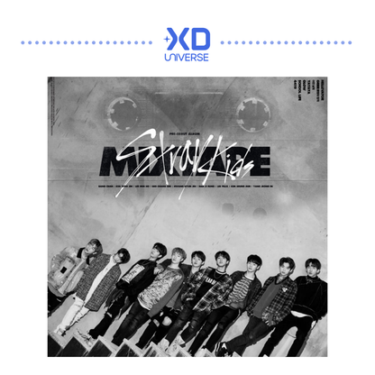 Stray Kids Pre-Debut Album [Mixtape]